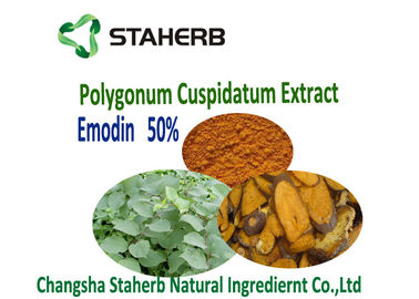 Κίνα Φυτογενείς πρόσθετες ουσίες τροφών αποσπασμάτων ρίζας Cuspidatum Polygonum κτηνιατρικές προμηθευτής