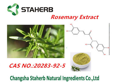 Κίνα Όξινο Rosemary απόσπασμα φύλλων 90% Rosmarinic για το καλλυντικό CAS no.20283-92-5 προμηθευτής