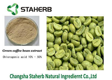 Κίνα Χλωρογενές οξύ, βάρος που χάνει το πράσινο εκχύλισμα CAS φασολιών καφέ ΝΟ 327-97-9 προμηθευτής