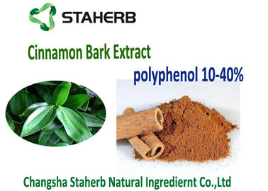 Κίνα Kosher αντιοξειδωτικό διαιτητικό απόσπασμα 10-30% φλοιών κανέλας συμπληρωμάτων Polyphenols κανέλας προμηθευτής