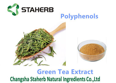 Κίνα Κίτρινα καφετιά Polyphenols 98% CAS 84650-60-2 συμπληρωμάτων σκονών σκονών αντιοξειδωτικά προμηθευτής