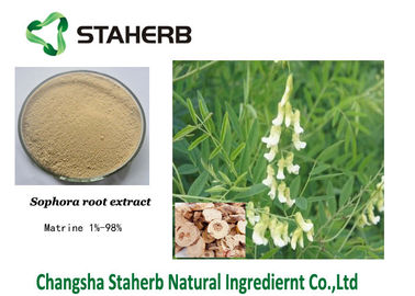 Κίνα Άσπρη σκόνη Matrine 98% αποσπασμάτων Sophora Flavescens τομέων γεωργίας προμηθευτής