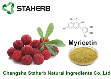 Κίνα Καθαρό φυσικό Myricetin 98% εκχυλισμάτων φυτού φλοιών Bayberry για το προϊόν υγείας από το HPLC προμηθευτής