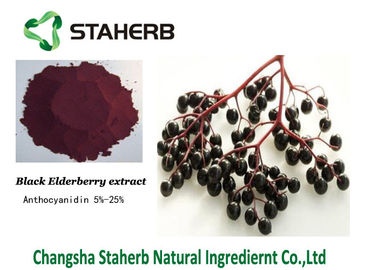 Elderberry αντι-γήρανσης συγκεντρωμένο απόσπασμα εκχύλισμα Anthocyandin φυτών προμηθευτής