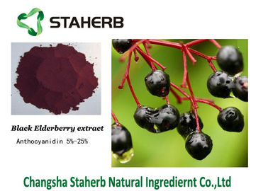 Elderberry αντι-γήρανσης συγκεντρωμένο απόσπασμα εκχύλισμα Anthocyandin φυτών προμηθευτής