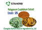 Φυτογενείς πρόσθετες ουσίες τροφών αποσπασμάτων ρίζας Cuspidatum Polygonum κτηνιατρικές προμηθευτής