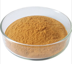 Κίτρινα καφετιά Polyphenols 98% CAS 84650-60-2 συμπληρωμάτων σκονών σκονών αντιοξειδωτικά προμηθευτής