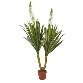 Φυσική σκόνη Yocoin Yucca πρόσθετων ουσιών τροφών αποσπασμάτων Schidigera Yucca προμηθευτής