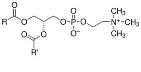 Phosphatidylcholine 80% εκχυλισμάτων φυτού εκχυλισμάτων σόγιας καθαρή φυσική υγειονομική περίθαλψη προμηθευτής