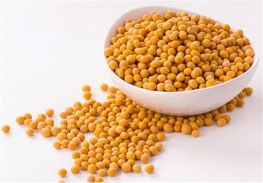 Phosphatidylcholine 80% εκχυλισμάτων φυτού εκχυλισμάτων σόγιας καθαρή φυσική υγειονομική περίθαλψη προμηθευτής